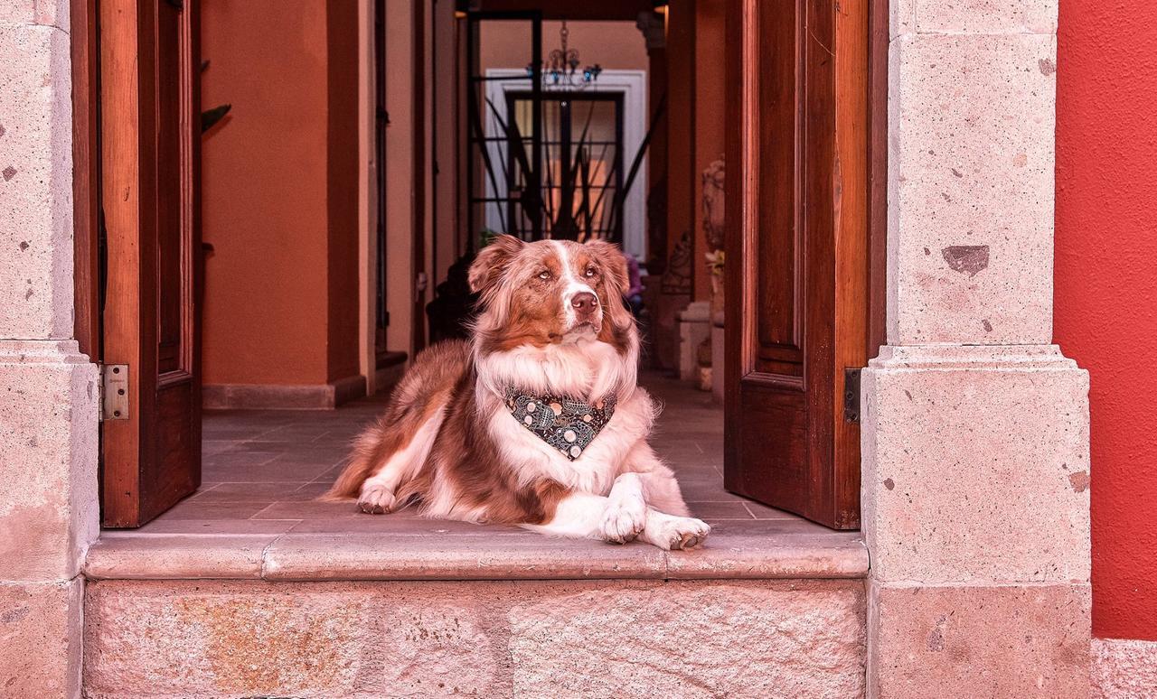 Artesana Luxury Villa San Miguel de Allende Exterior foto